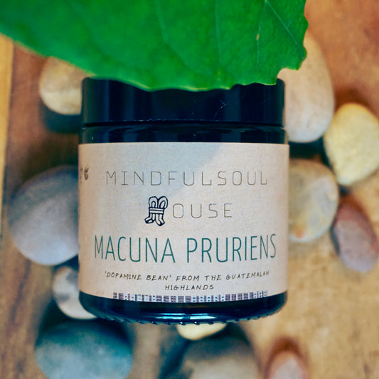 Macuna Pruriens Guatemala 50g