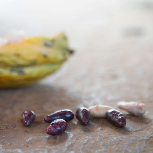 Slightly Roasted Cacao Beans Guatemala 30g